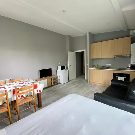 4t Immo - 31 Avenue Gaston Chauvin 아파트